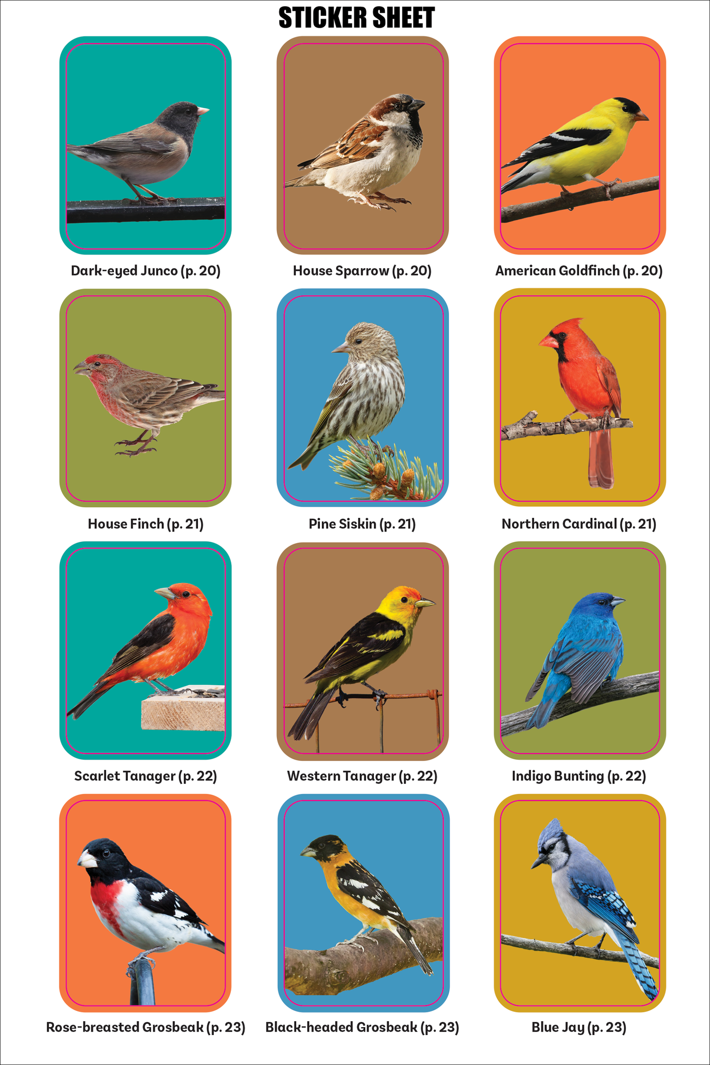 The Birder's Logbook: A Seek-and-Sticker Book for Budding Ornithologists