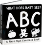 What Does Baby See? ABCs