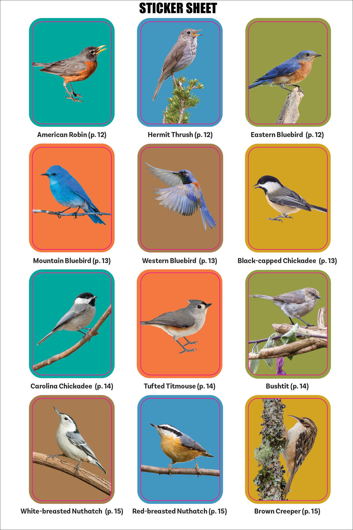 The Birder's Logbook: A Seek-and-Sticker Book for Budding Ornithologists