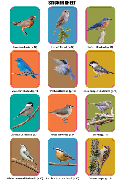 The Birder's Logbook: A Seek-and-Sticker Book for Budding Ornithologists
