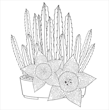 Succulents Artist's Coloring Book