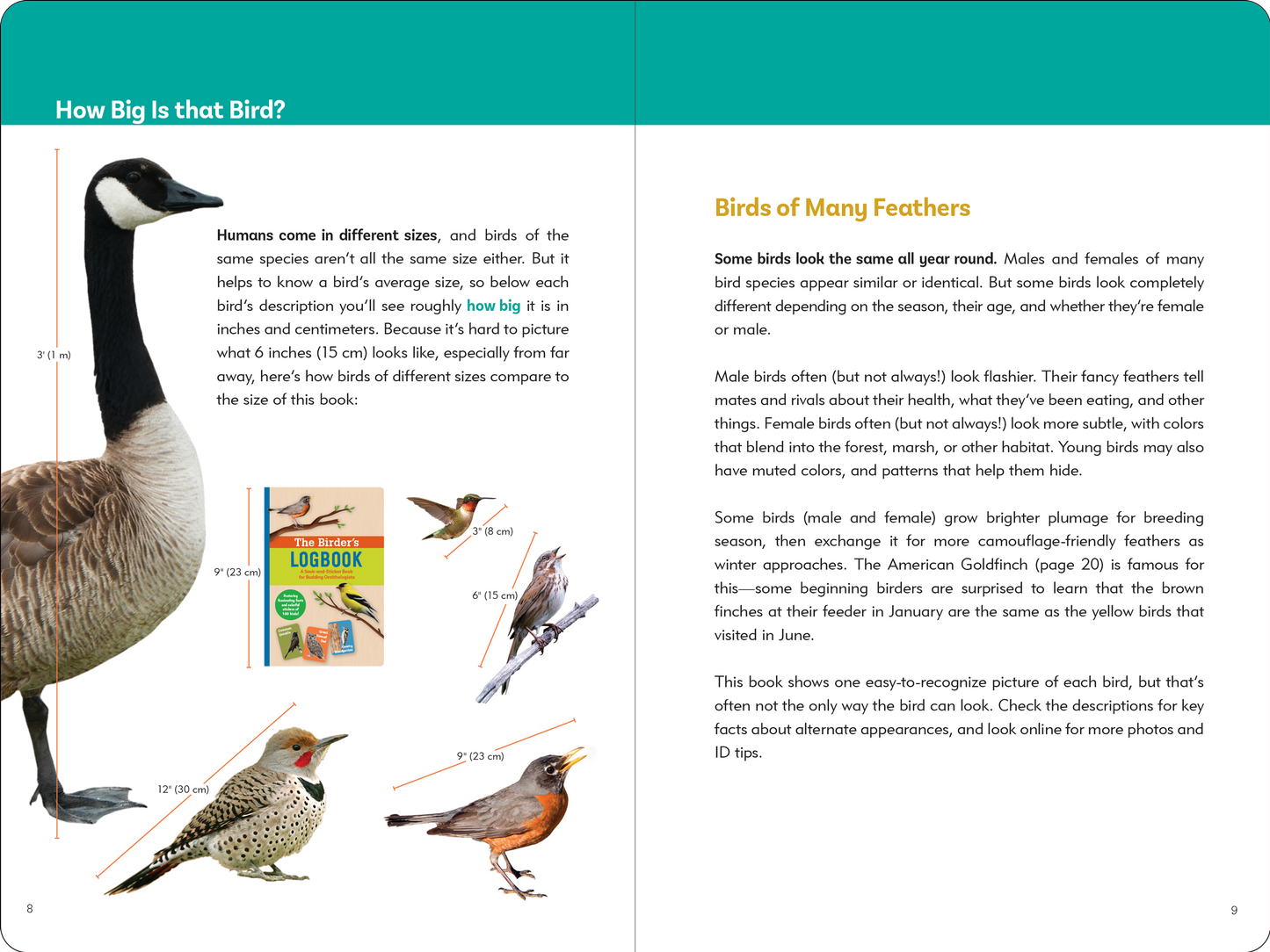 The Birder's Logbook: A Seek-and-Sticker Book for Budding Ornithologists