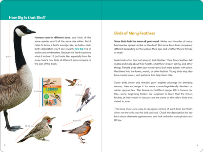 The Birder's Logbook: A Seek-and-Sticker Book for Budding Ornithologists